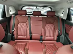 2023 Hongqi HS5 2.0T Pro, чёрный — фото 12