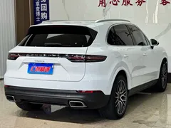 2022 Porsche Cayenne 3.0T Platinum, белый — фото 6