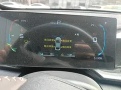 2024 BYD Qin PLUS Honor DM-i PHEV 55km Leading — фото 9