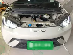2025 BYD Seagull 305km Vitality, белый — фото 20