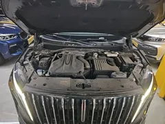 2024 Hongqi HS7 2.0T PHEV 4WD 7, чёрный — фото 20