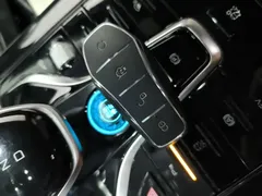2024 BYD Qin PLUS Honor DM-i PHEV 55km Leading — фото 9