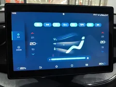2024 BYD Qin PLUS Honor DM-i PHEV 55km Leading — фото 13