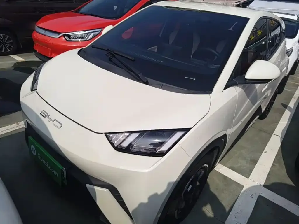 2023 BYD Seagull Freedom