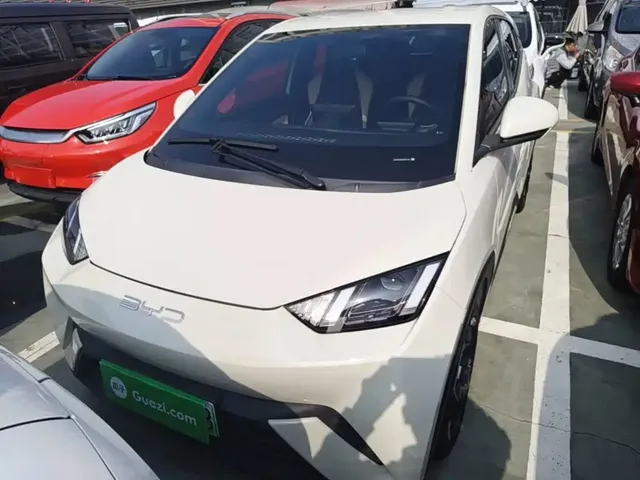 2023 BYD Seagull Freedom