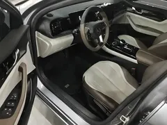 2024 BYD Qin PLUS Honor DM-i PHEV 55km Leading — фото 16