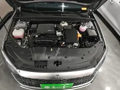 2024 BYD Qin PLUS Honor DM-i PHEV 55km Leading — фото 20
