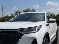 2022 Chery Tiggo 8 Pro 290T 2WD 5-seat, белый — фото 5