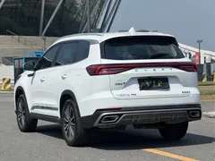 2022 Chery Tiggo 8 Pro 290T 2WD 5-seat, белый — фото 29