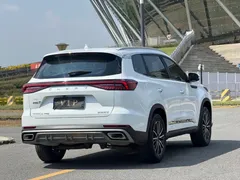 2022 Chery Tiggo 8 Pro 290T 2WD 5-seat, белый — фото 31
