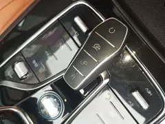 2023 BYD Tang DM-i PHEV Champion 112KM Premium — фото 9