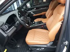 2023 BYD Tang DM-i PHEV Champion 112KM Premium — фото 15