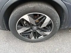 2023 BYD Tang DM-i PHEV Champion 112KM Premium — фото 23