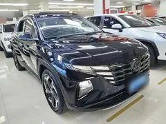 2021 Hyundai Tucson L 1.5T DCT LUX Premium, чёрный — фото 4