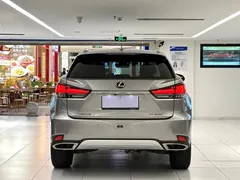 2020 Lexus RX 300 4WD Elegance — фото 6