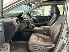 2020 Lexus RX 300 4WD Elegance — фото 9