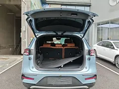 2023 BYD Tang DM-i PHEV Champion 112km Premium, синий — фото 19
