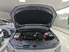 2024 BYD Qin PLUS Honor DM-i PHEV 55km Leading — фото 20