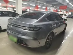 2024 BYD Destroyer 05 DM-i PHEV 55km Luxury — фото 7