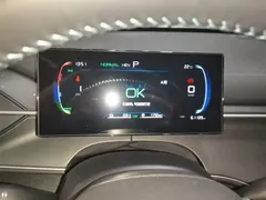 2024 BYD Destroyer 05 DM-i PHEV 55km Luxury — фото 12