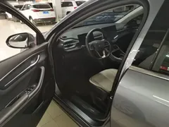 2024 BYD Destroyer 05 DM-i PHEV 55km Luxury — фото 15