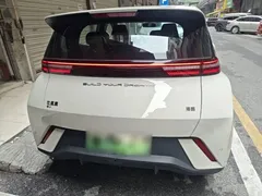2024 BYD Seagull EV 305km Honor Freedom, белый — фото 6