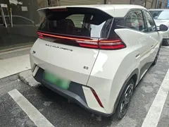 2024 BYD Seagull EV 305km Honor Freedom, белый — фото 7