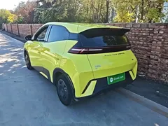 2023 BYD Seagull Vitality, зелёный — фото 5