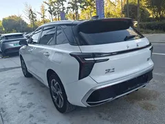 2025 Hongqi HS3 PHEV 117km, белый — фото 9