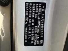 2023 Tank 500 3.0T Business 5-seat — фото 26