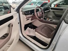 2023 Leapmotor C11 EV 500 Comfort — фото 16