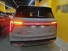 2024 Hongqi HS7 2.0T PHEV 4WD 6 — фото 6