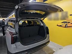 2024 Hongqi HS7 2.0T PHEV 4WD 6 — фото 19