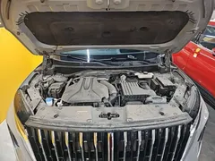 2024 Hongqi HS7 2.0T PHEV 4WD 6 — фото 20