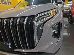 2024 Hongqi HS7 2.0T PHEV 4WD 6 — фото 24