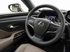 2022 Lexus ES 300h Excellence, белый — фото 10