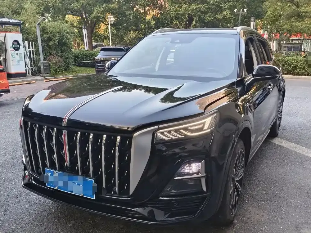 2023 Hongqi HS5 2.0T 4WD Qixiang Pro 500,000th Anniversary Edition