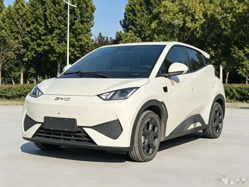 2025 BYD Seagull Smart Driving 305km Freedom