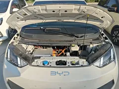 2025 BYD Seagull Smart Driving 305km Freedom, белый — фото 20