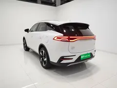 2023 BYD Tang DM-i PHEV Champion 112KM Premium, белый — фото 4