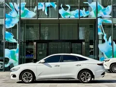 2019 Hyundai Lafesta 280TGDi China VI, белый — фото 4