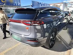 2023 BYD Tang DM-i PHEV Champion 112km Premium — фото 7