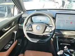 2023 BYD Tang DM-i PHEV Champion 112km Premium — фото 11
