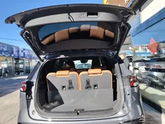 2023 BYD Tang DM-i PHEV Champion 112km Premium — фото 19