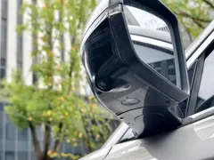 2024 BYD Song PLUS Honor DM-i PHEV 110km Flagship — фото 7