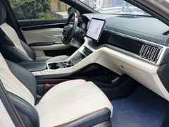 2024 BYD Song PLUS Honor DM-i PHEV 110km Flagship — фото 14