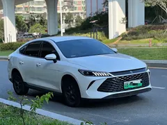 2025 BYD Qin PLUS DM-i PHEV Smart Driving 55km Leading, белый — фото 3
