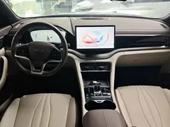 2025 BYD Song PLUS DM-i 112KM PHEV Premium — фото 10