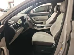 2025 BYD Song PLUS DM-i 112KM PHEV Premium — фото 15