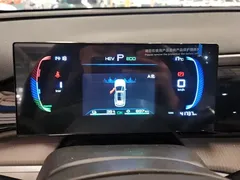 2023 BYD Song Pro Champion DM-i PHEV 71KM Leading, белый — фото 14